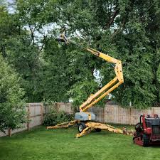 Lawn Drainage Solutions in Mount Morris, IL